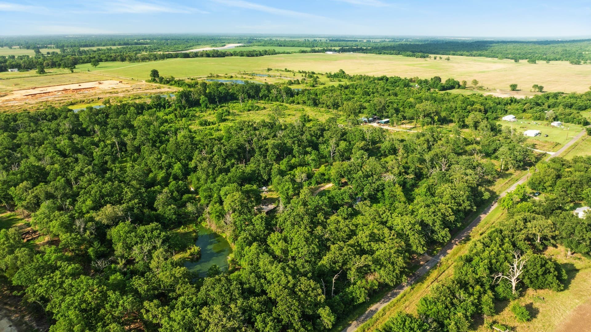 22.52 acres in Lamar County featured view