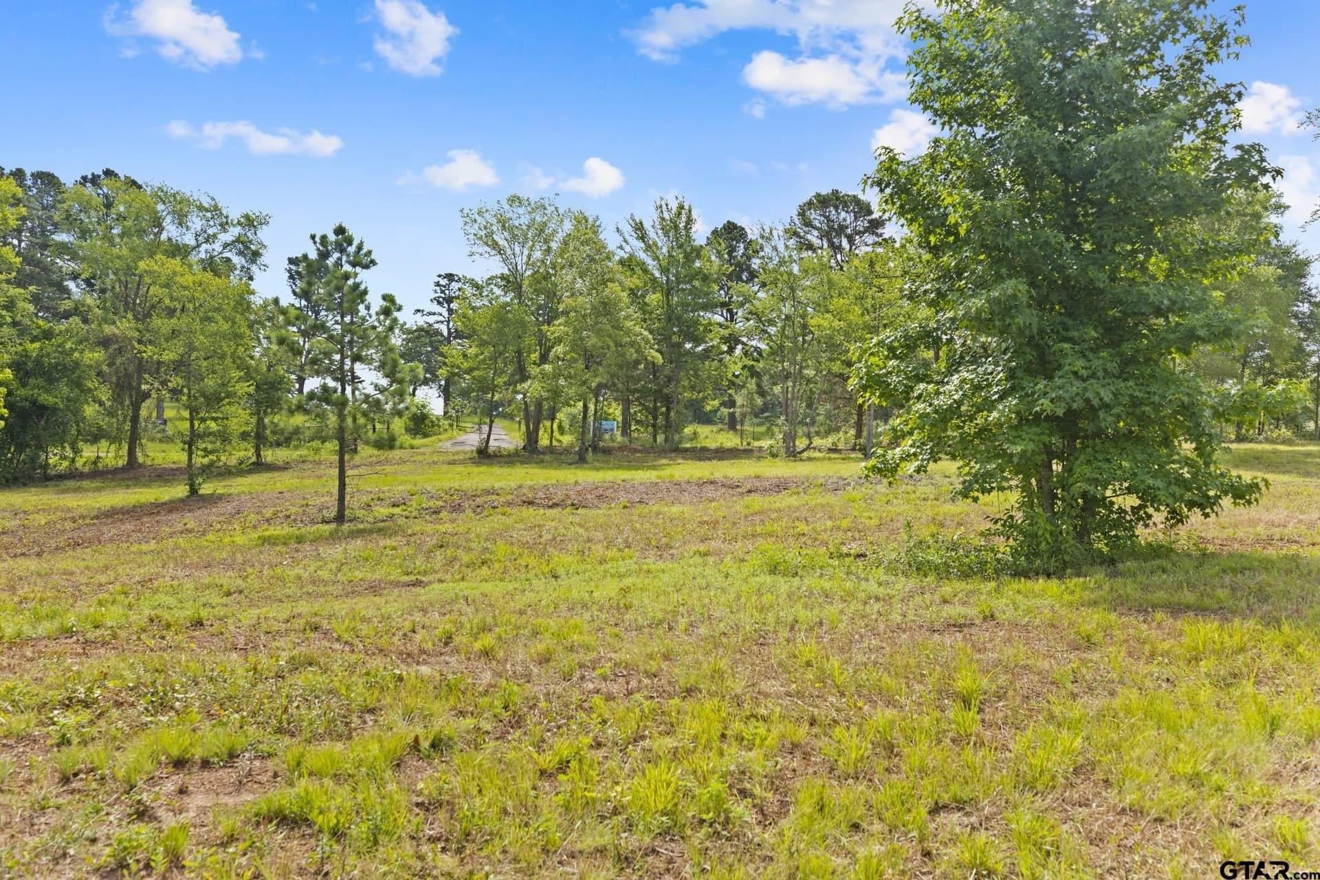 0.81 acres in Smith County gallery image 2