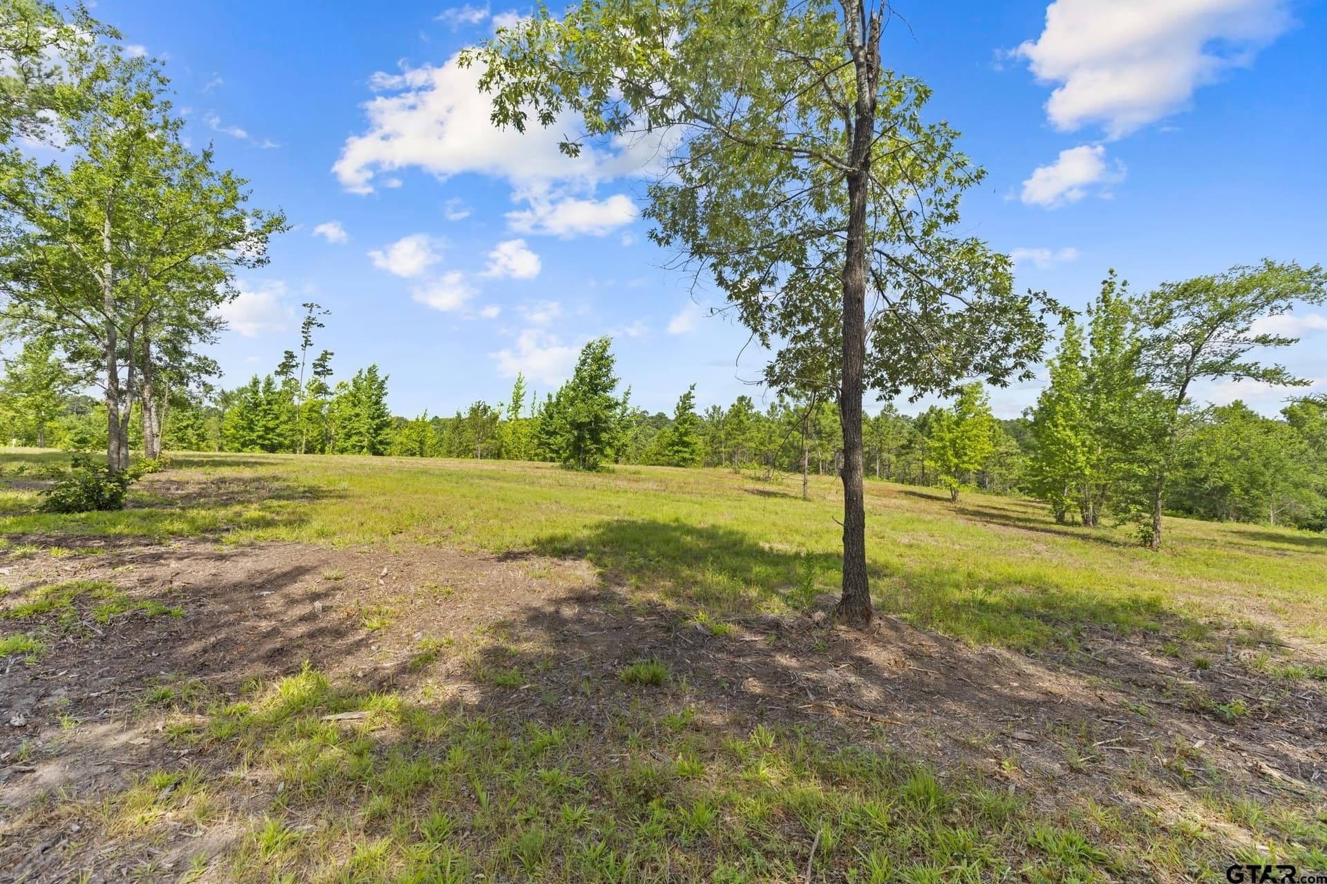 0.81 acres in Smith County gallery image 3