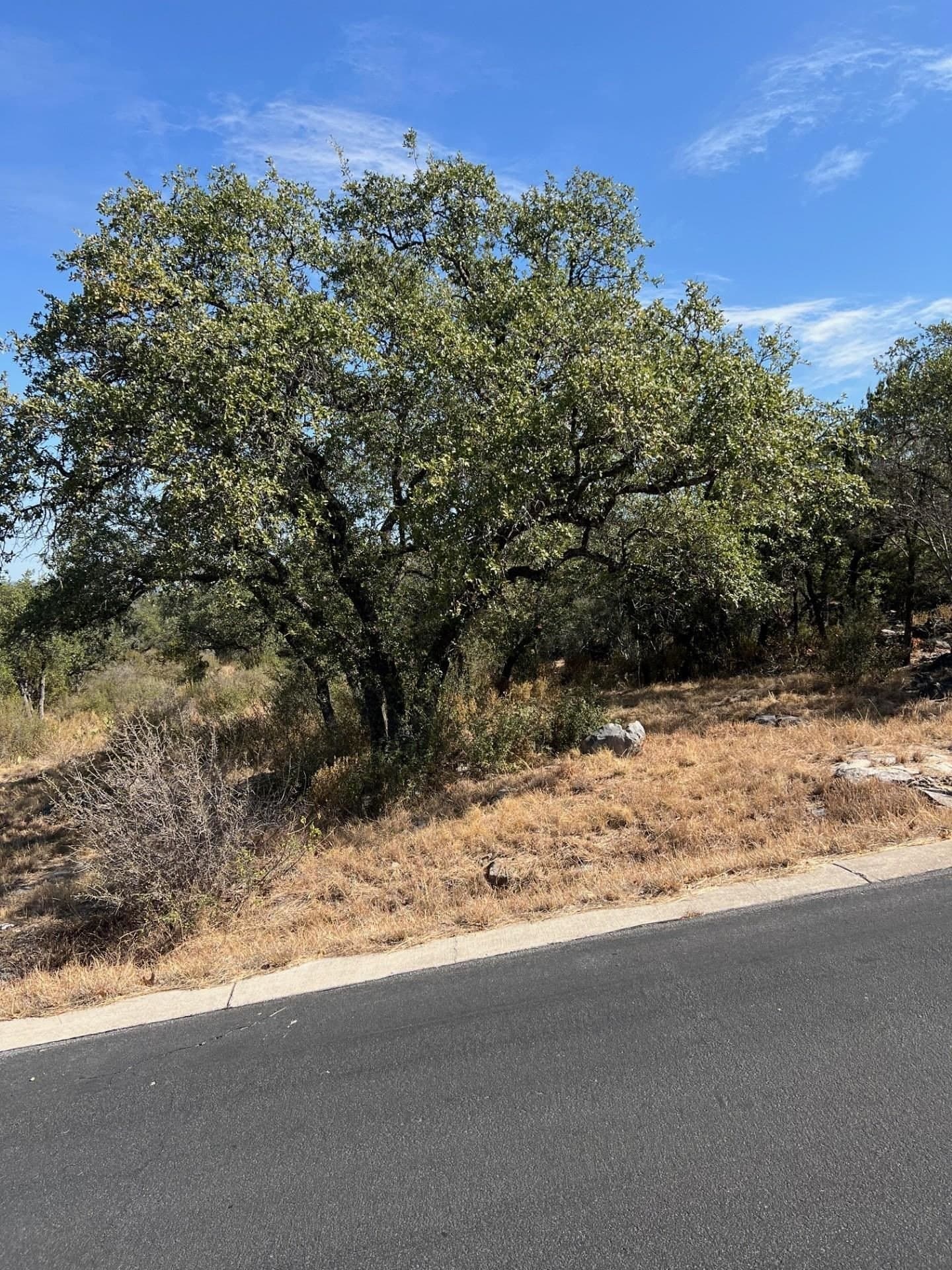 0.25 acres in Burnet County gallery image 3