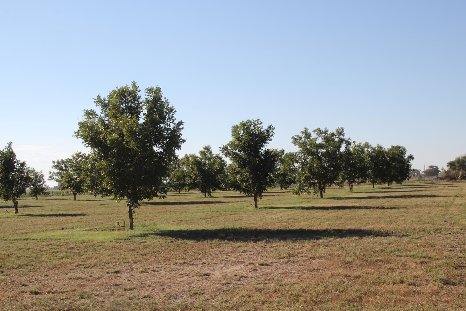 10 acres in Bailey County