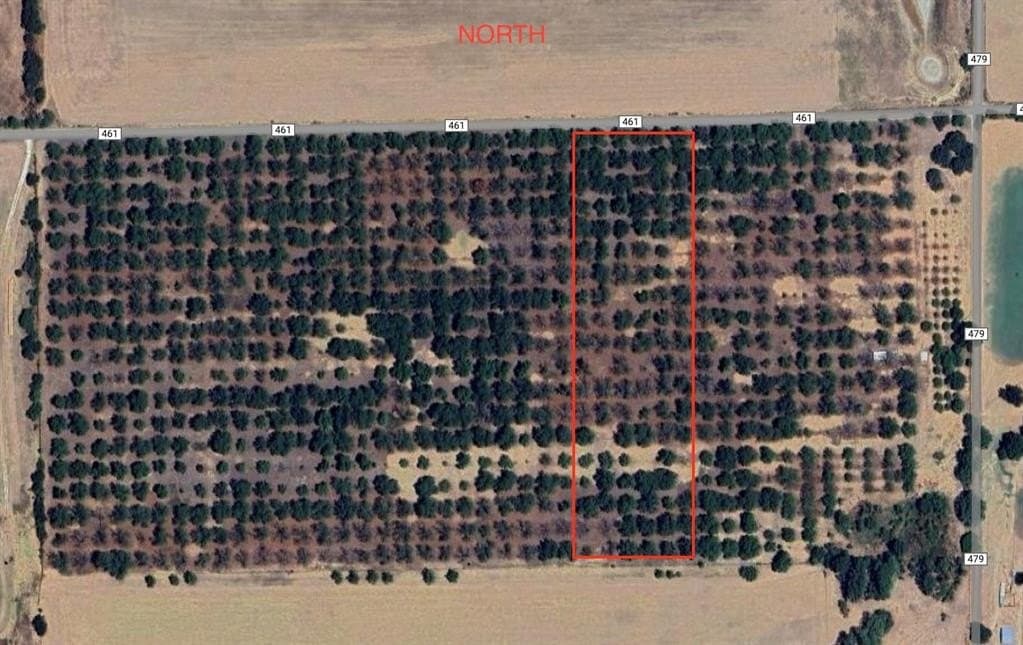10.09 acres in Comanche County gallery image 2