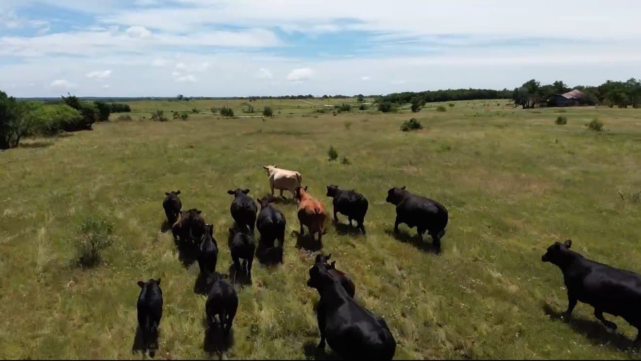 7.5 acres in Grayson County