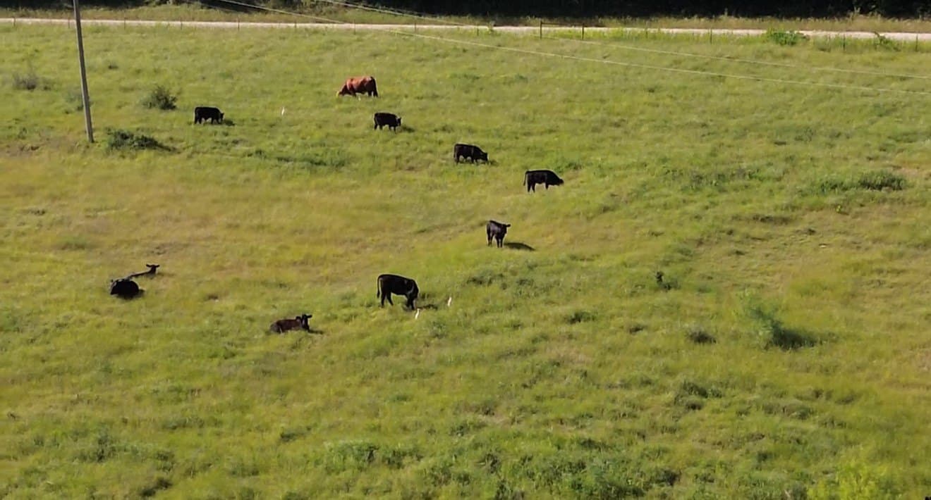 7.5 acres in Grayson County - photo 5