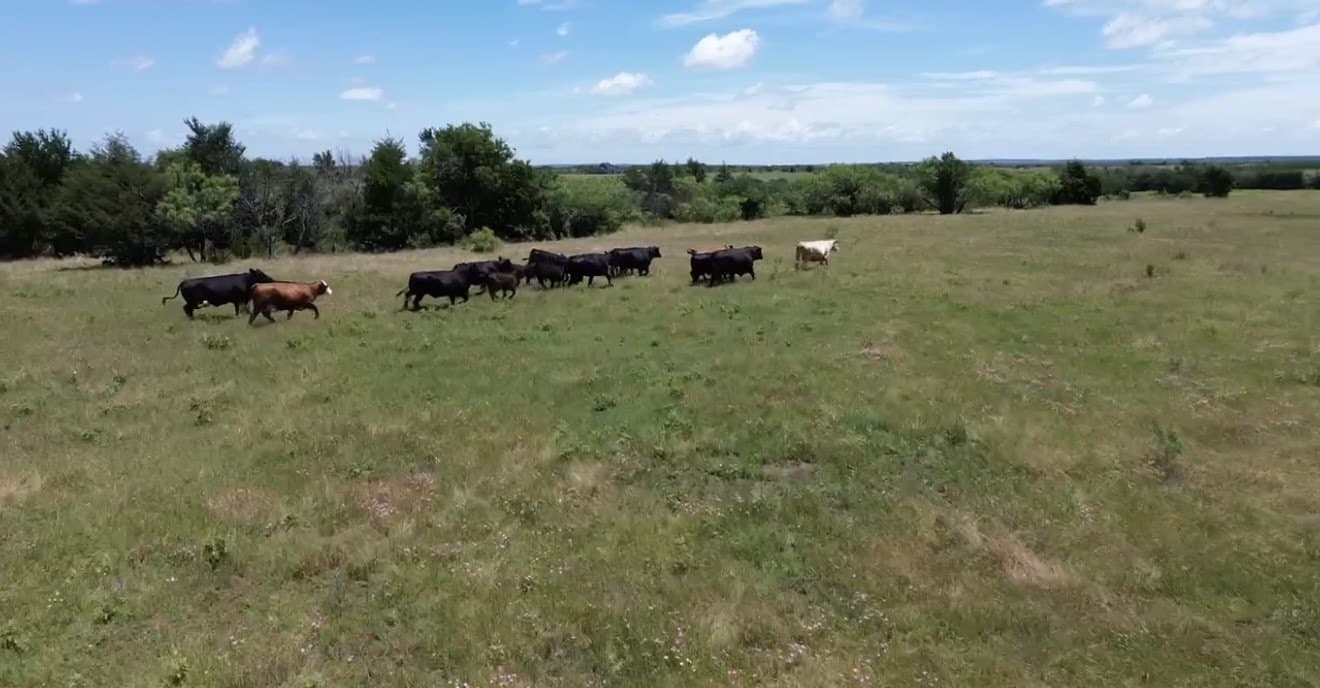 7.5 acres in Grayson County - photo 4