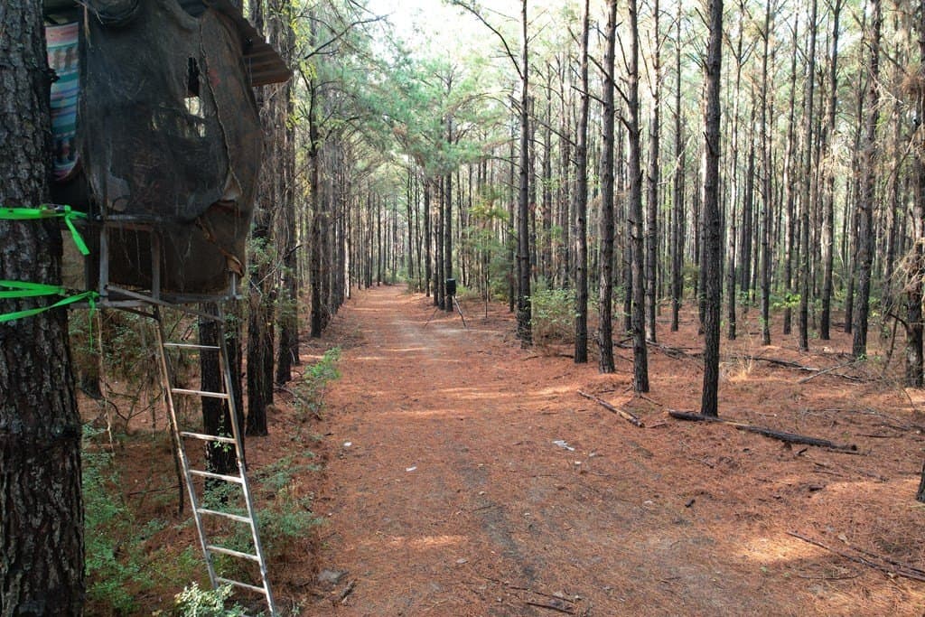 10.01 acres in Texas County - photo 9