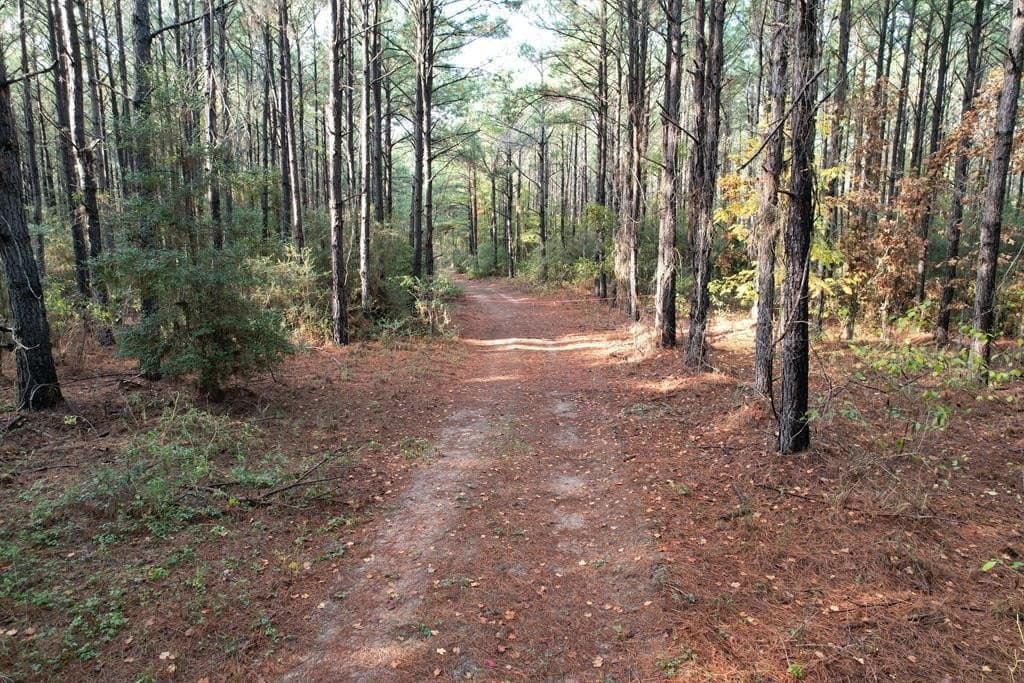 10.01 acres in Texas County gallery image 2