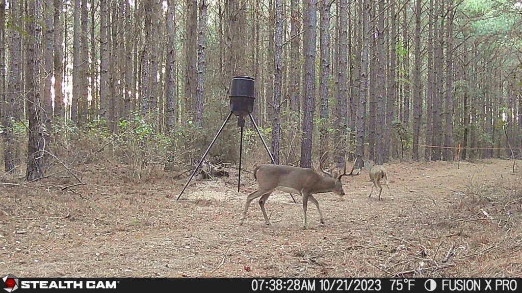 10.01 acres in Texas County gallery image 4