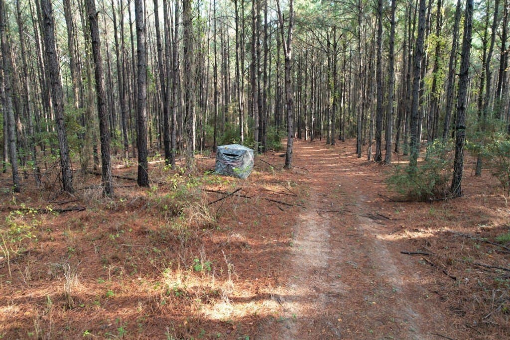 10.01 acres in Texas County - photo 6