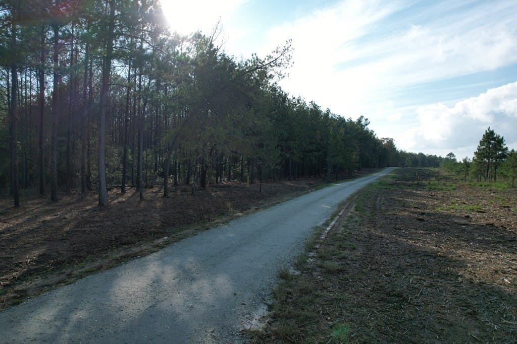 10.01 acres in Texas County - photo 11