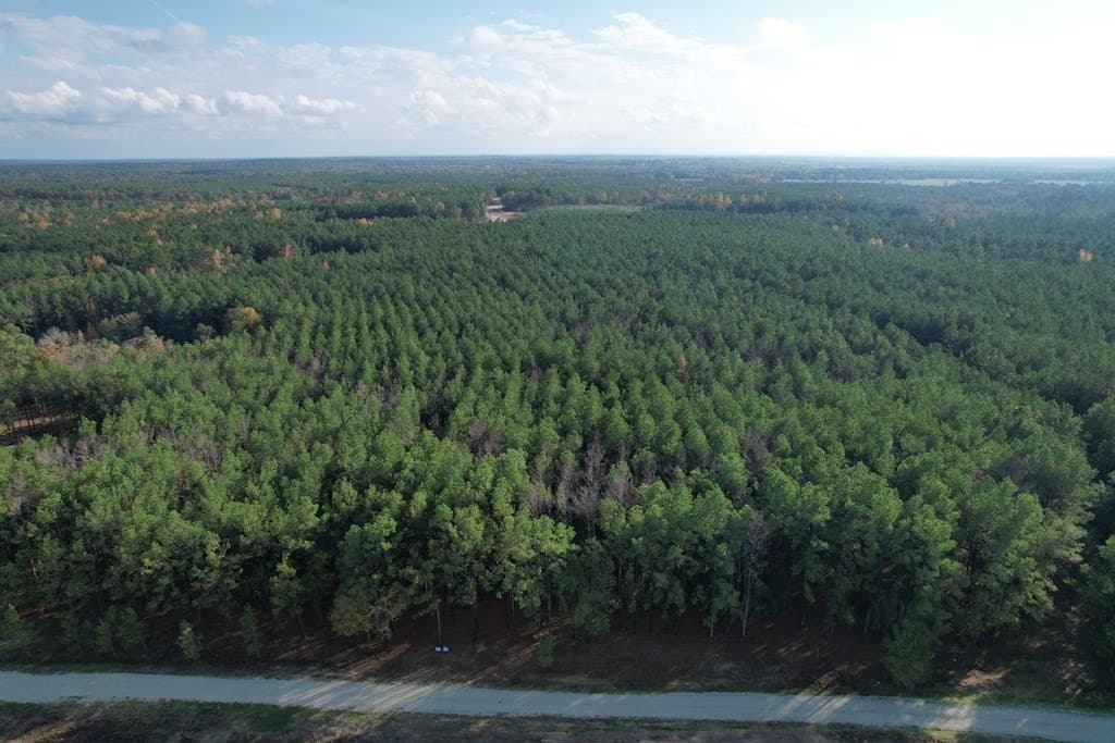 10.01 acres in Texas County gallery image 3