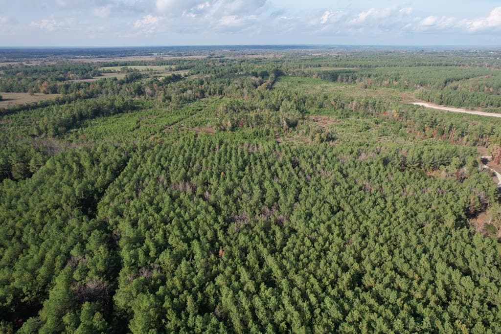 10.01 acres in Texas County - photo 10