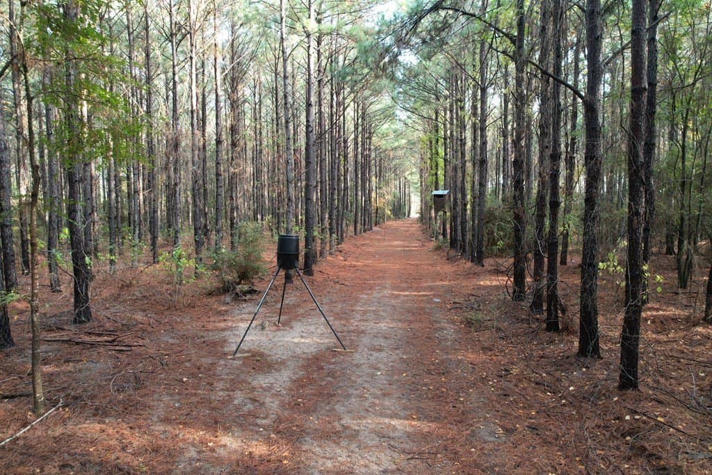 10.01 acres in Texas County - photo 7