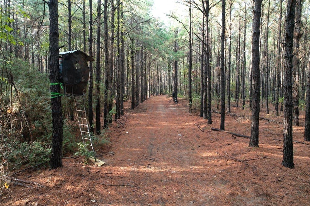10.01 acres in Texas County - photo 8