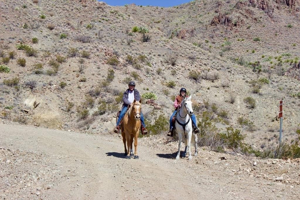 80 acres in Brewster County - photo 72