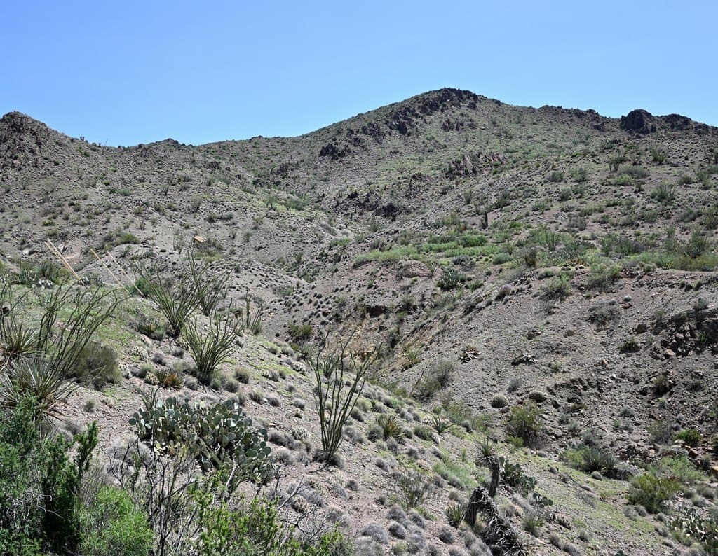 80 acres in Brewster County - photo 59