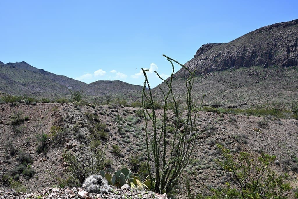 80 acres in Brewster County - photo 57