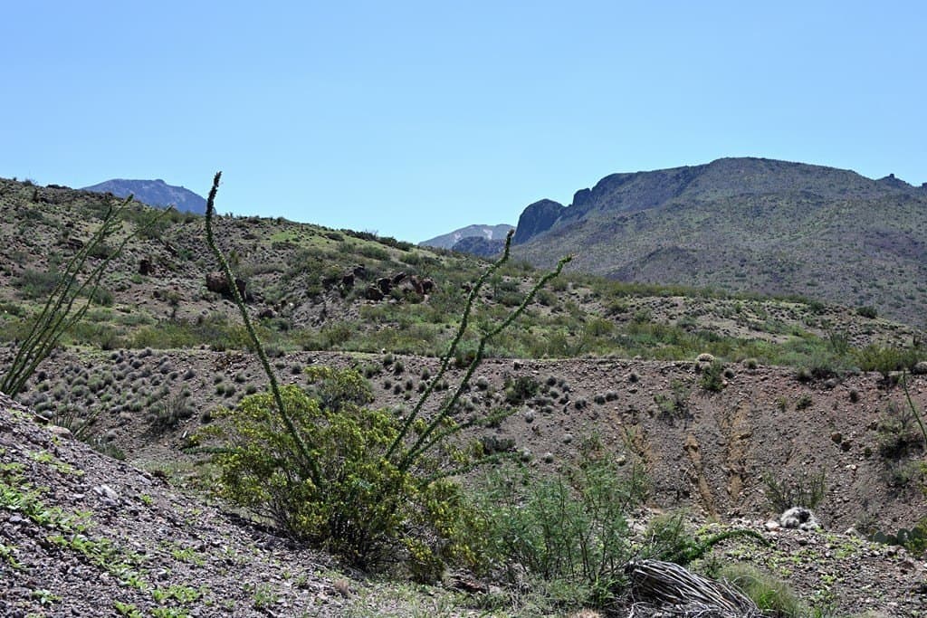 80 acres in Brewster County - photo 55