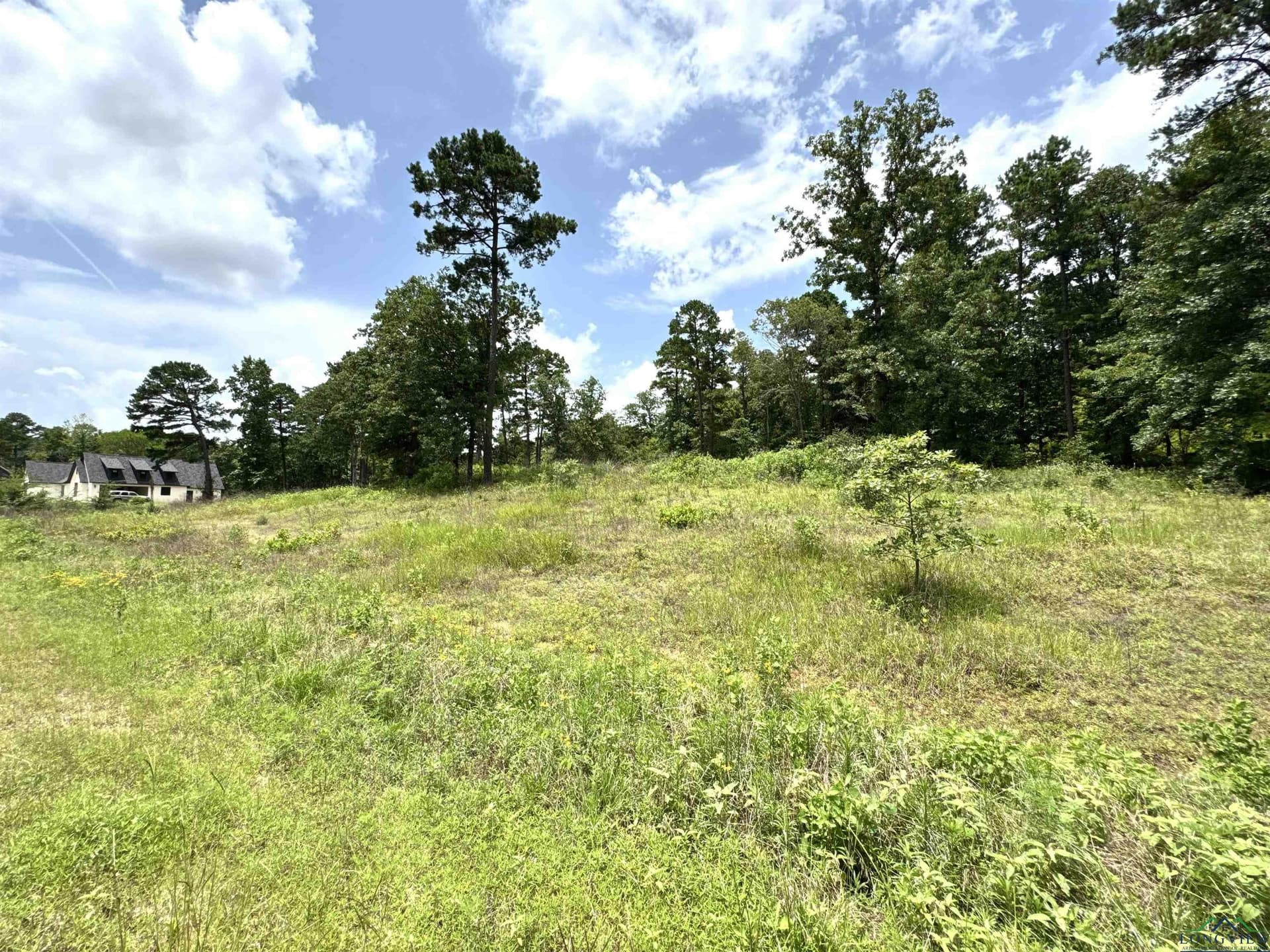 1.19 acres in Wood County gallery image 4