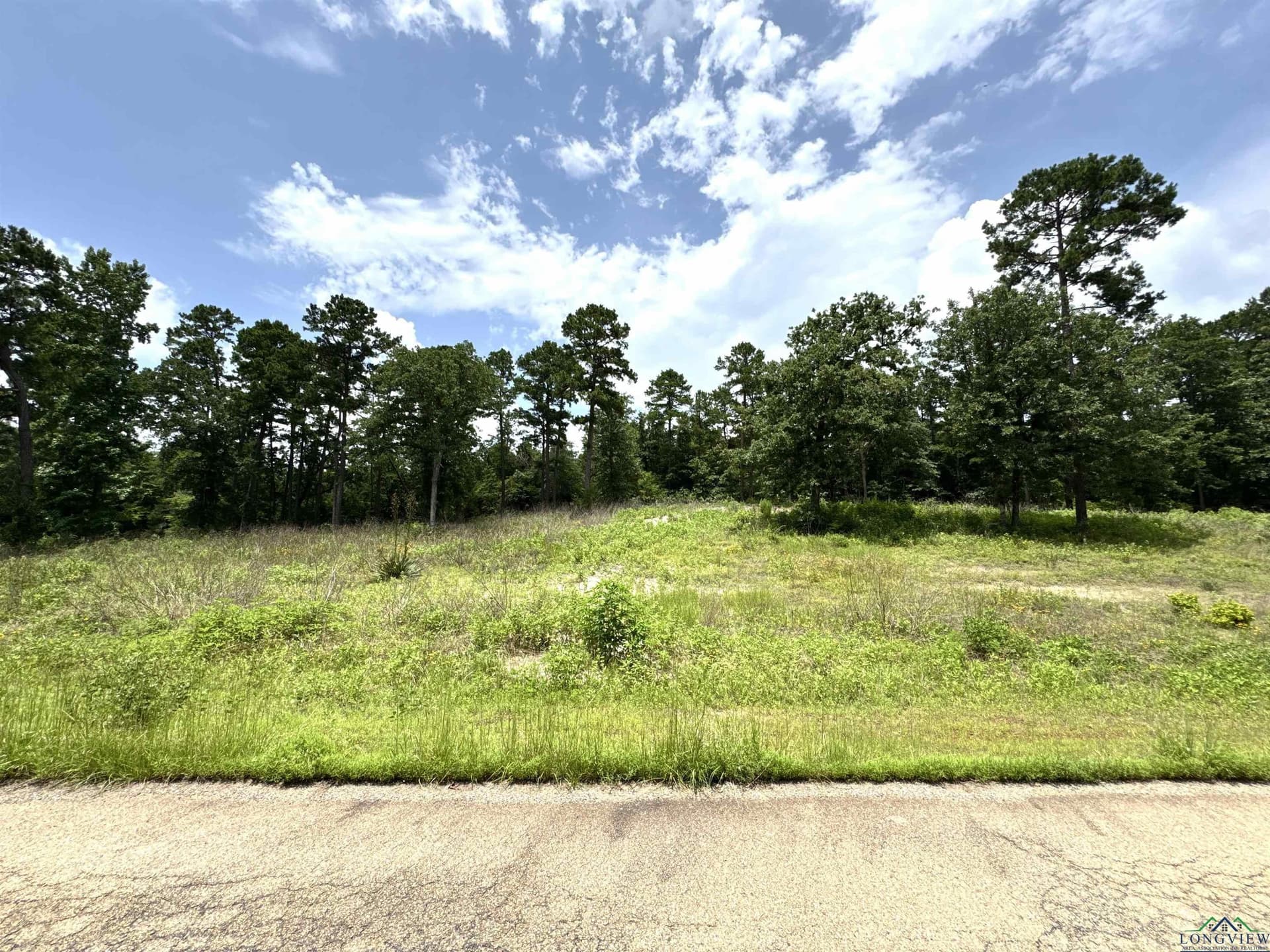 1.19 acres in Wood County