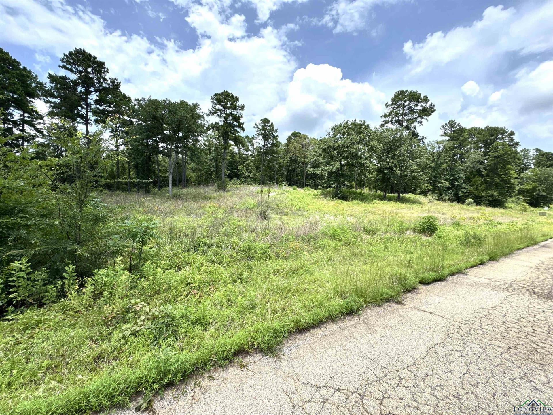 1.19 acres in Wood County gallery image 2