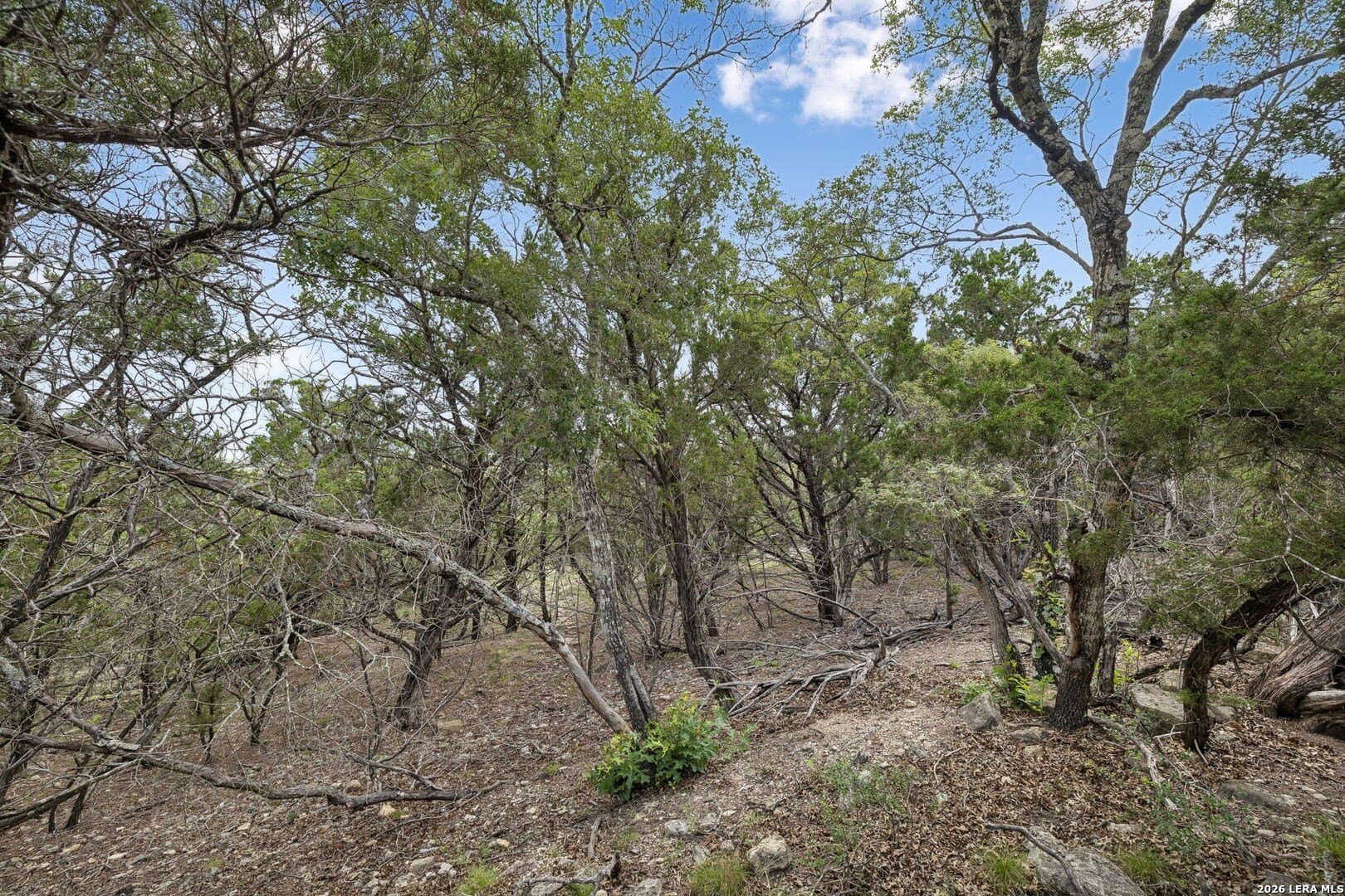 10.24 acres in Kendall County - photo 16