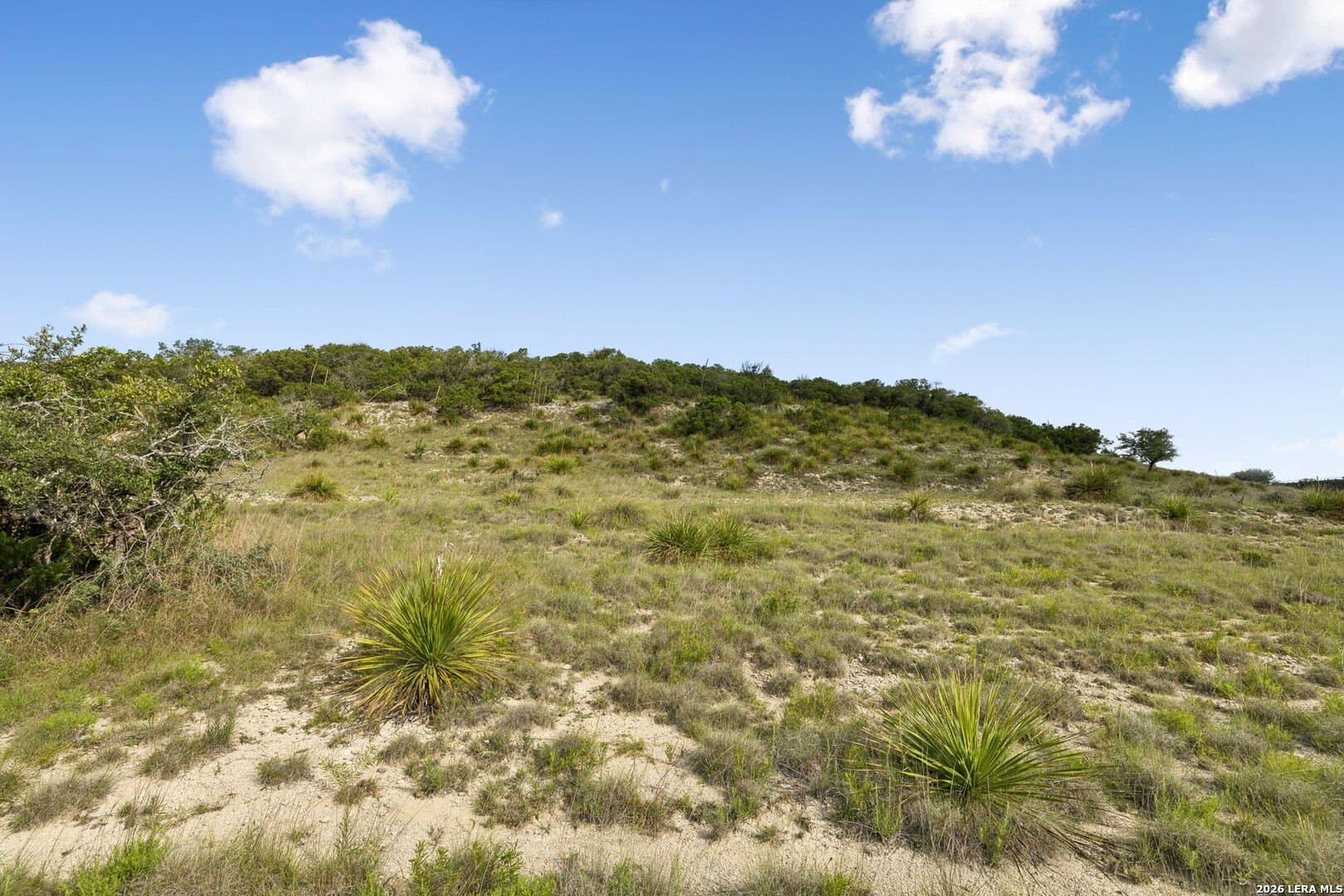 10.24 acres in Kendall County - photo 23