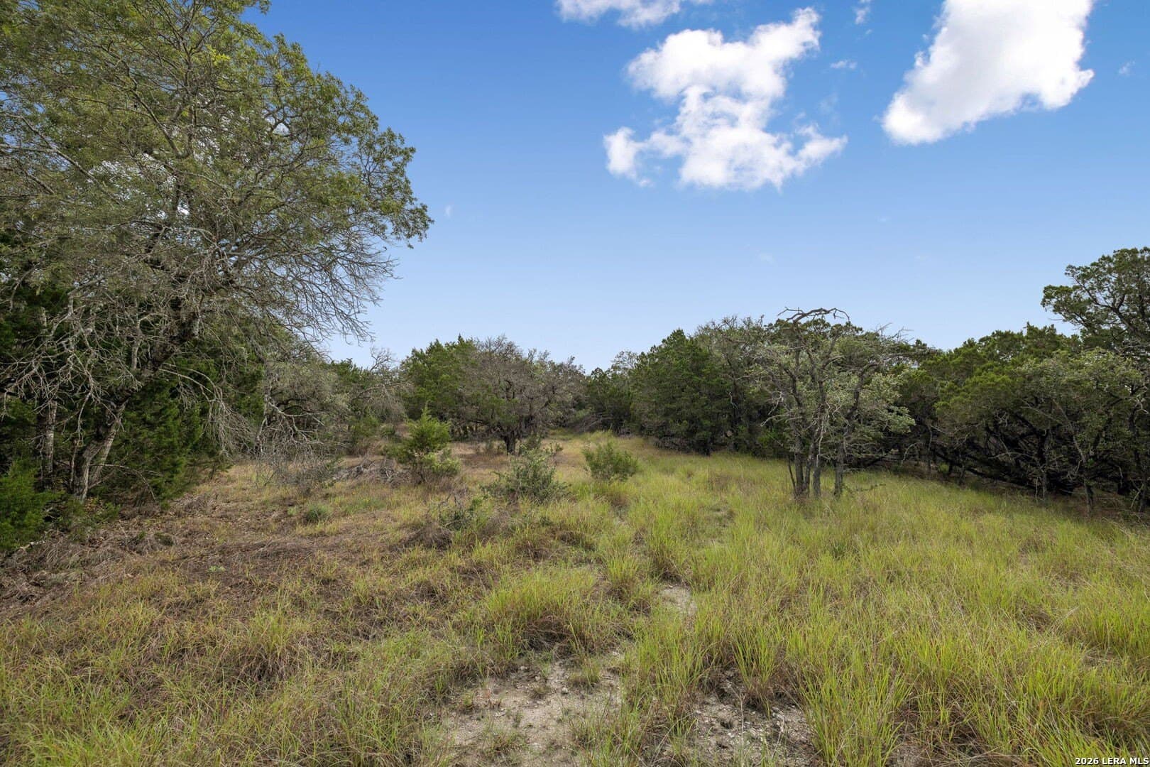 10.24 acres in Kendall County - photo 15