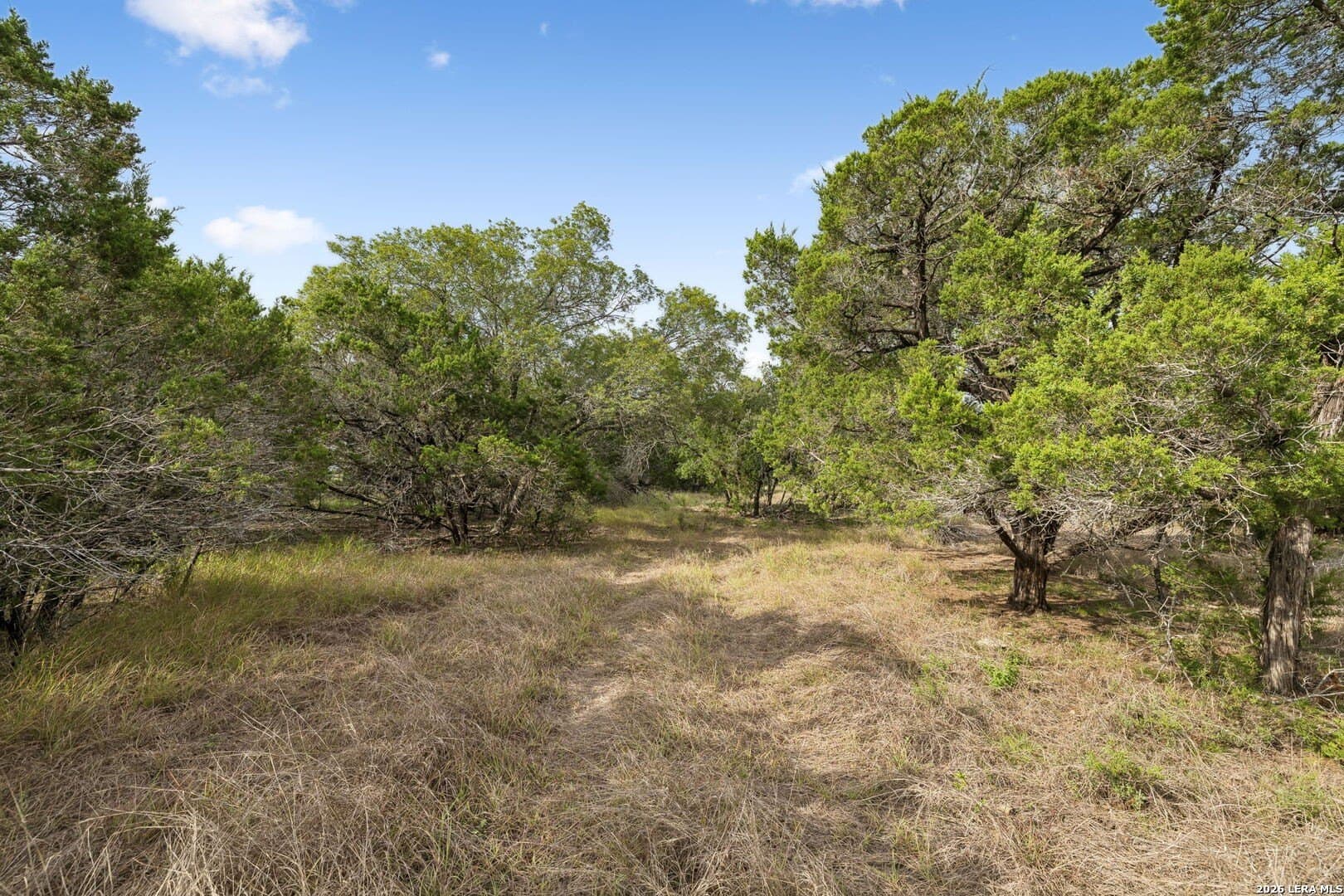 10.44 acres in Kendall County gallery image 3
