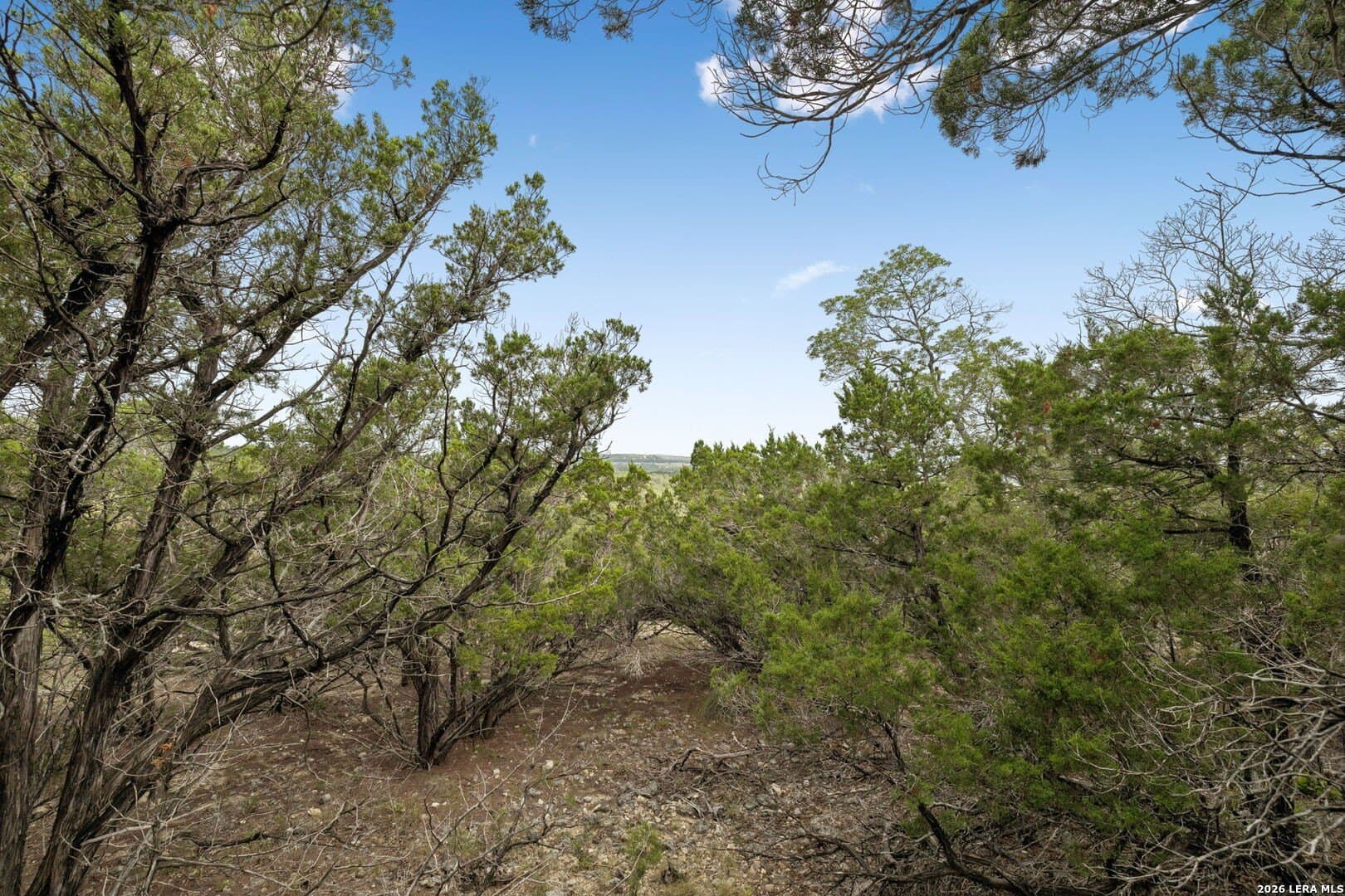 10.24 acres in Kendall County - photo 13