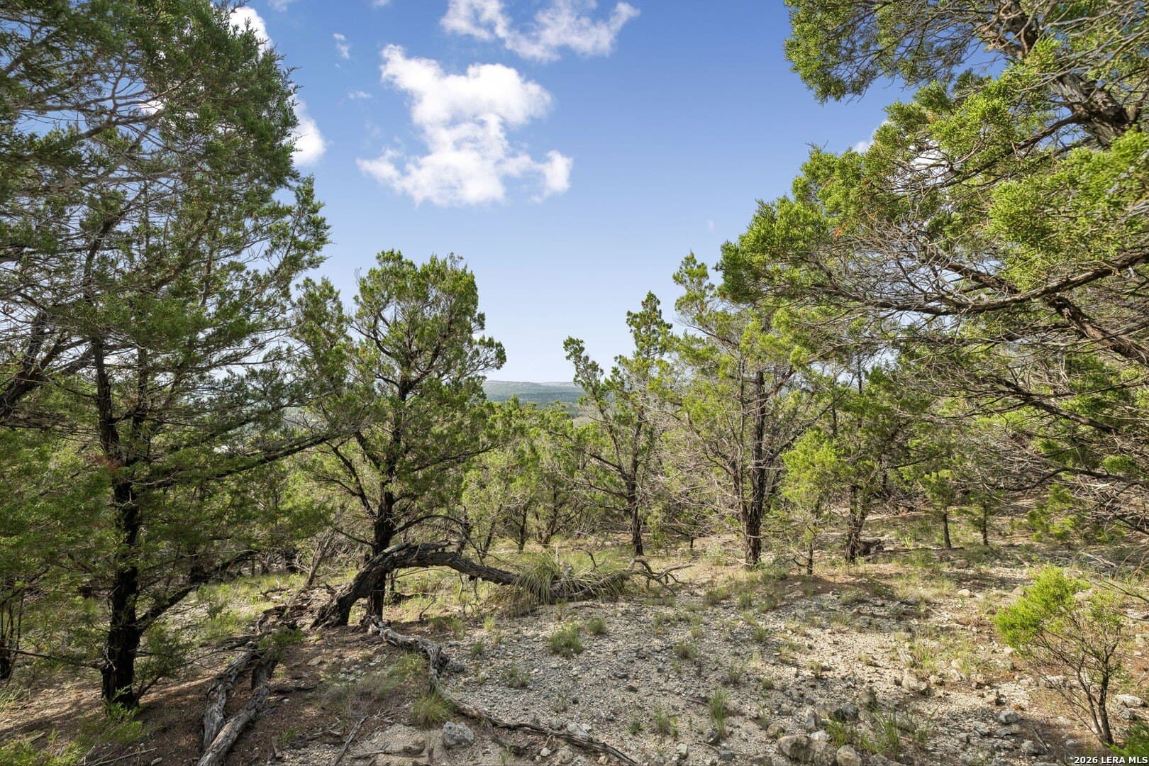10.24 acres in Kendall County - photo 27
