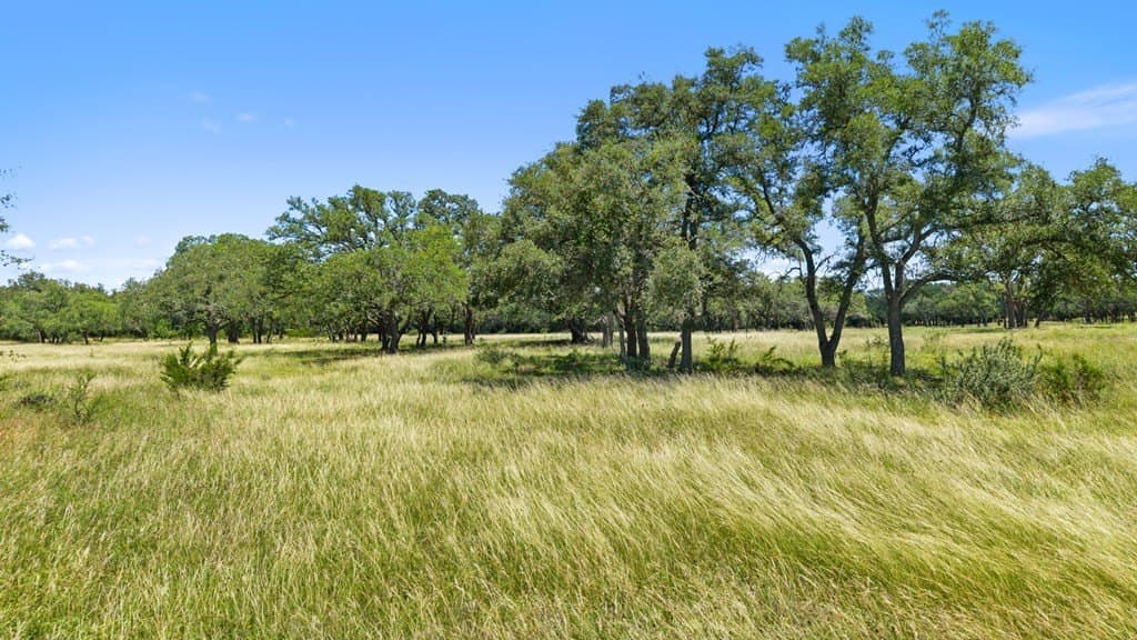 11.5 acres in Blanco County gallery image 3