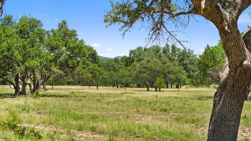 11.5 acres in Blanco County
