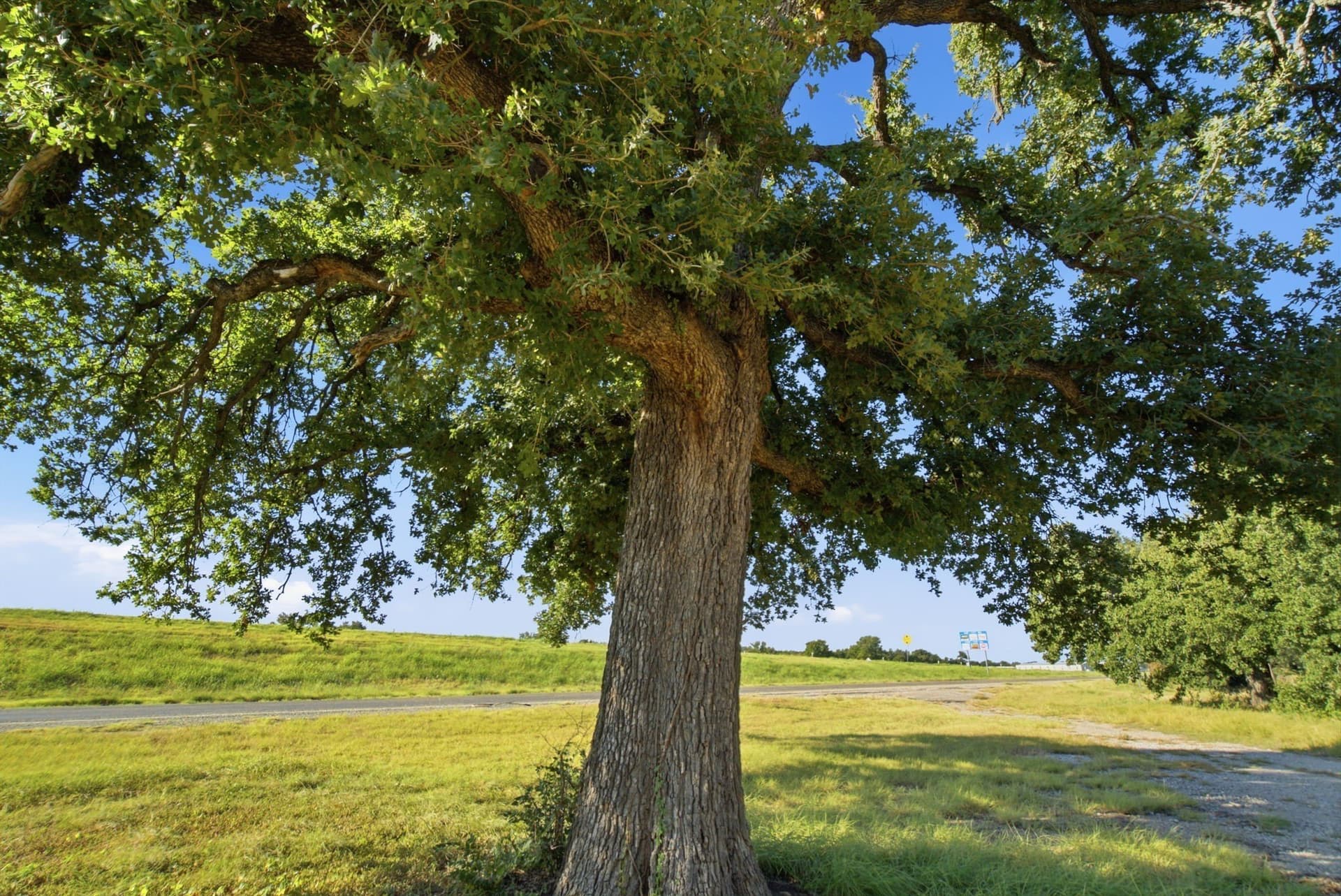 13.29 acres in Palo Pinto County - photo 5