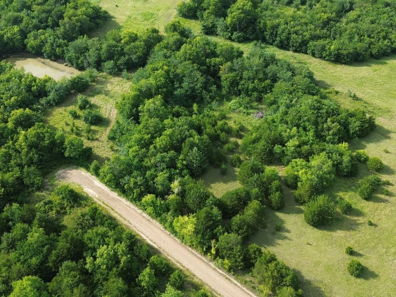 20 acres in Hunt County - photo 2