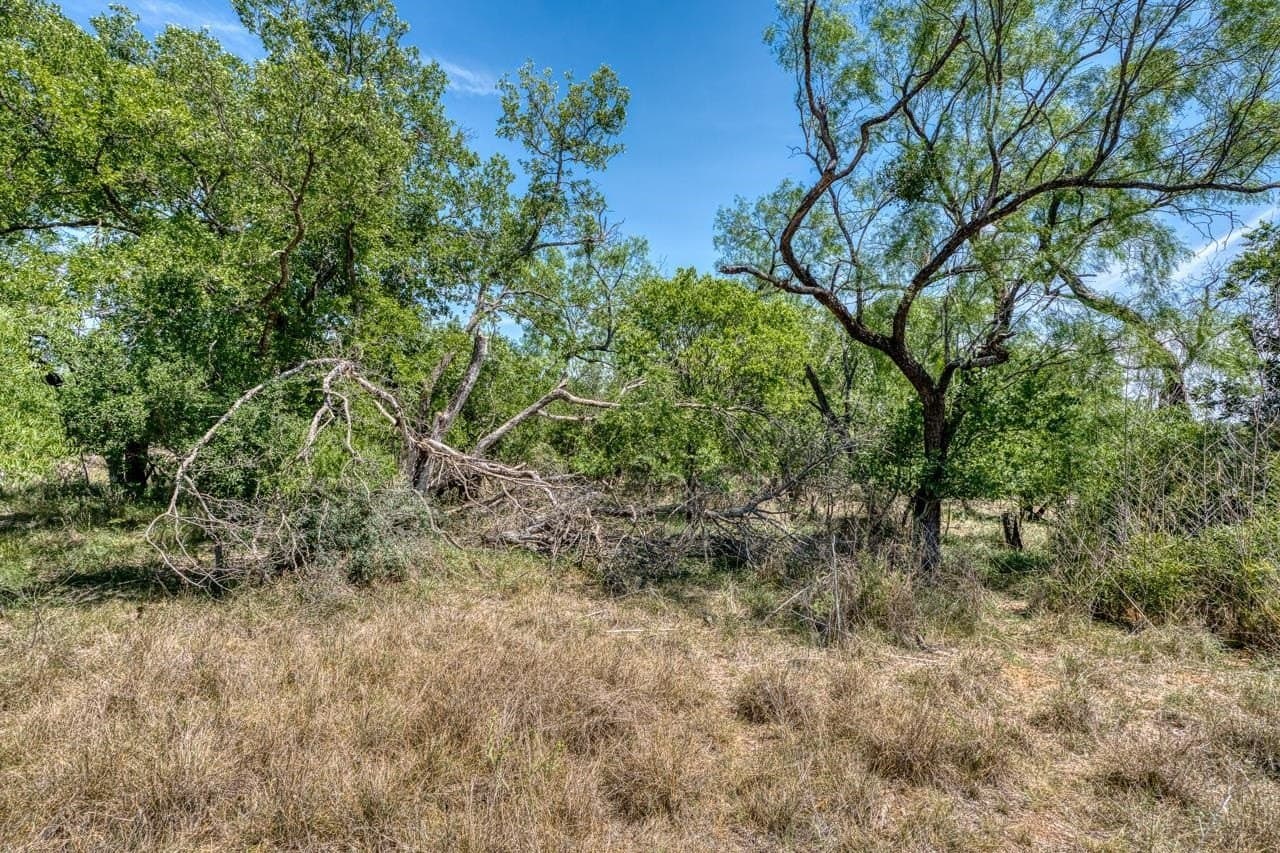 5.15 acres in Llano County - photo 23