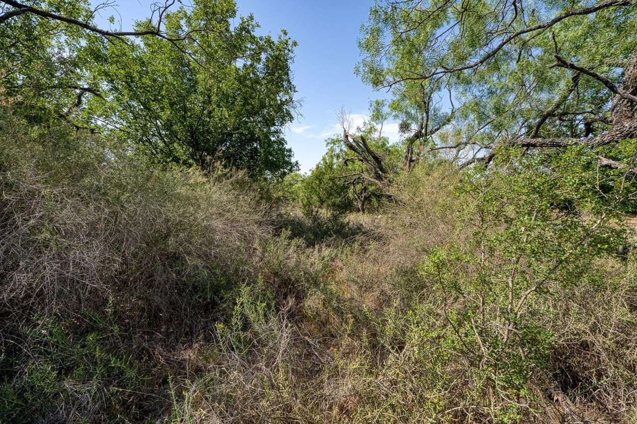 5.15 acres in Llano County - photo 22