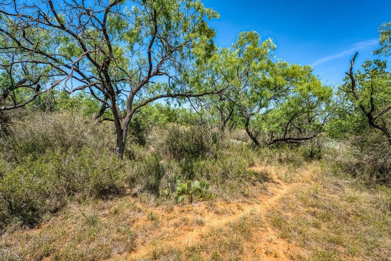 5.15 acres in Llano County - photo 24