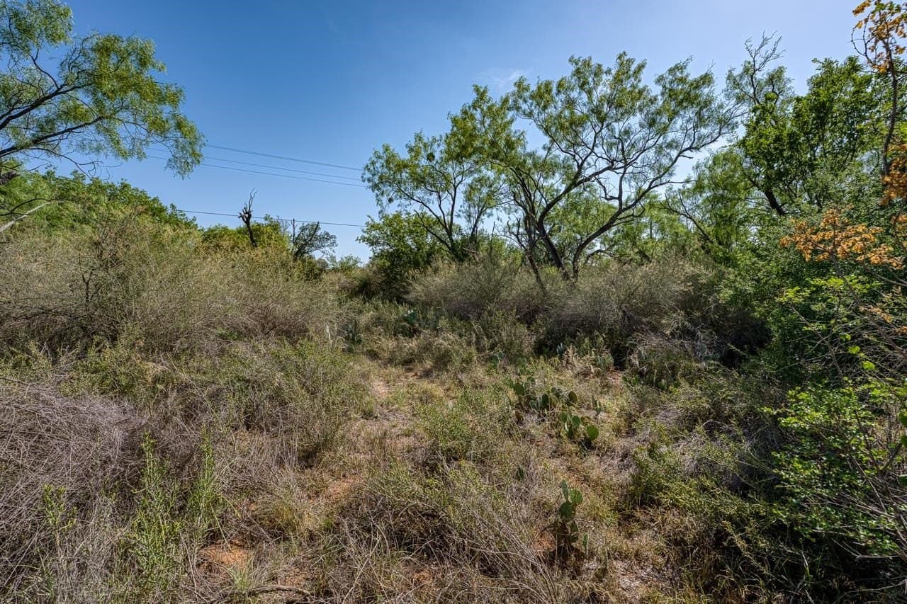 5.15 acres in Llano County - photo 19