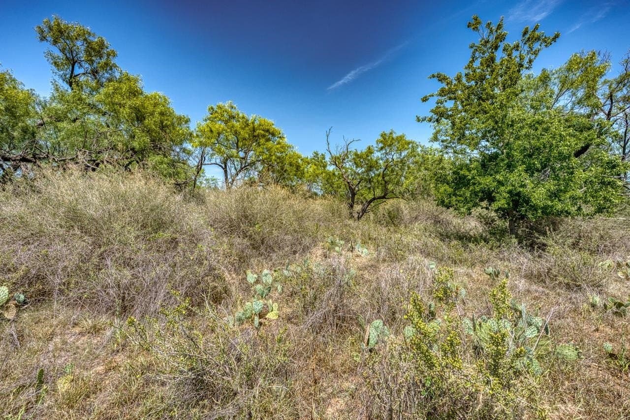 5.15 acres in Llano County - photo 21