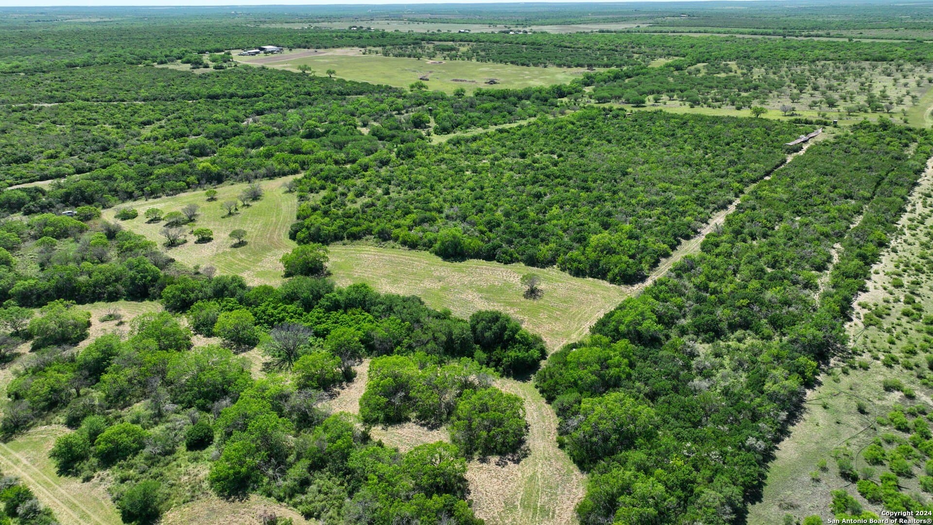 48.25 acres in Live Oak County - photo 21