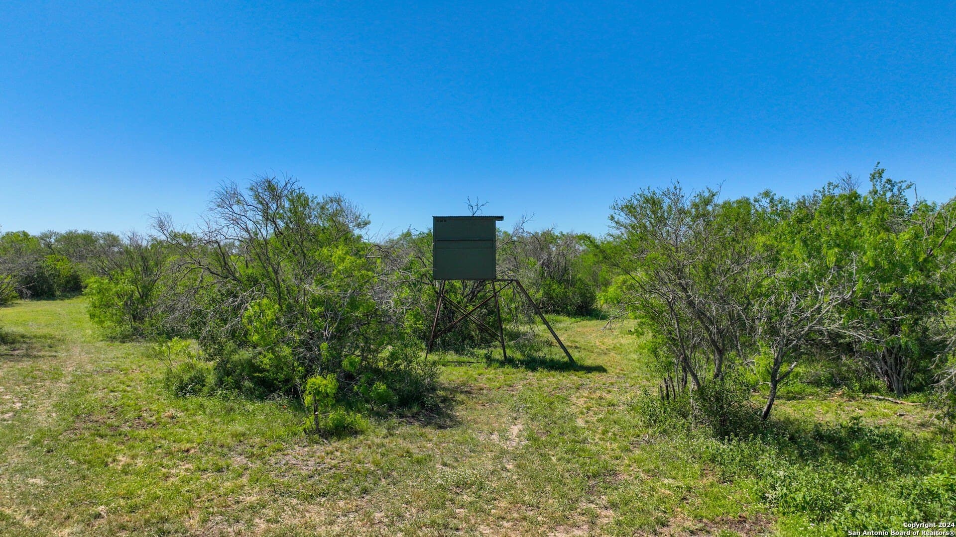 48.25 acres in Live Oak County - photo 20