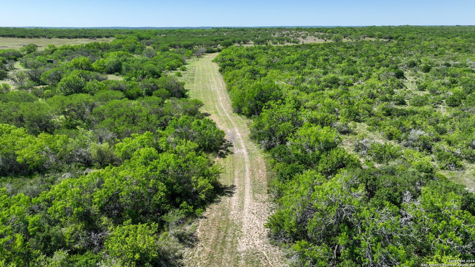 48.25 acres in Live Oak County - photo 19