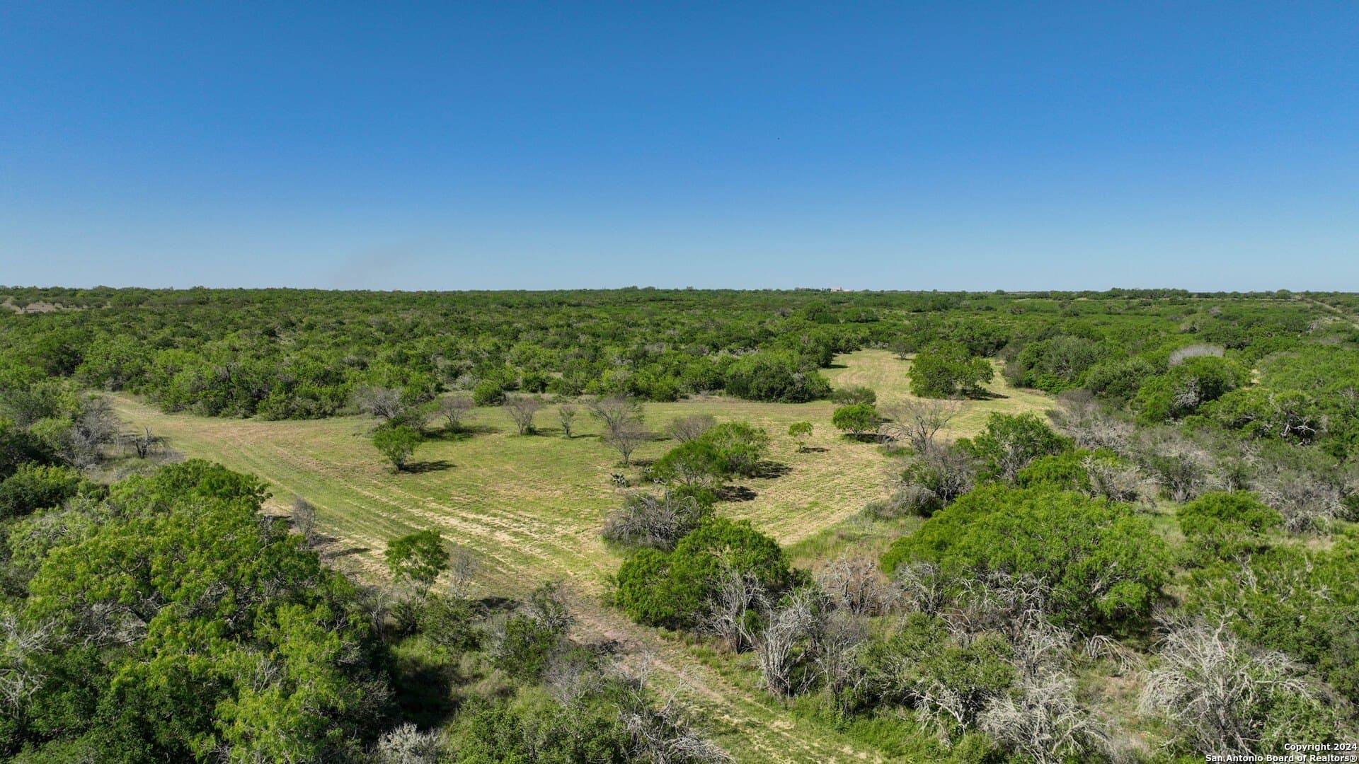 48.25 acres in Live Oak County gallery image 2