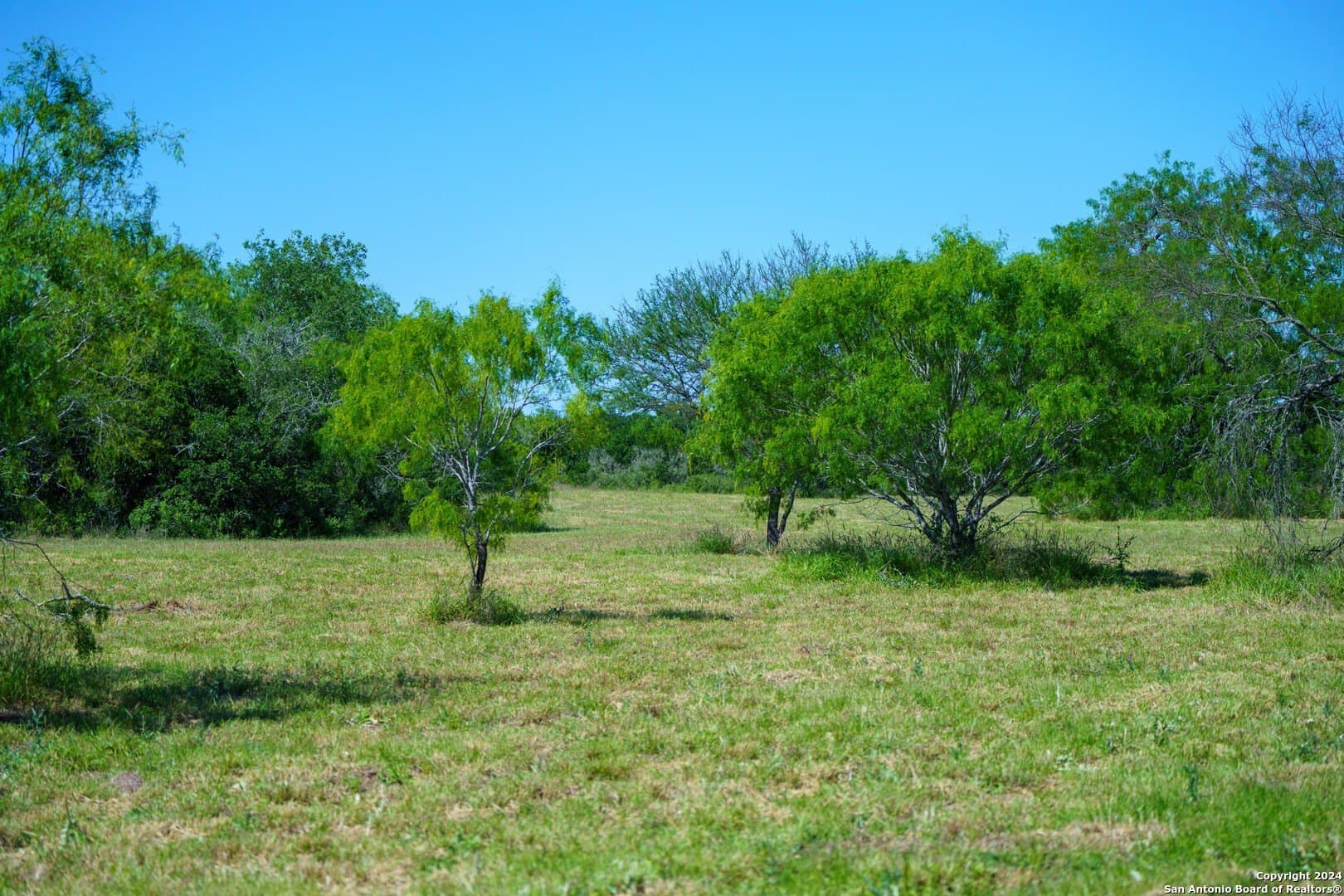 48.25 acres in Live Oak County - photo 16