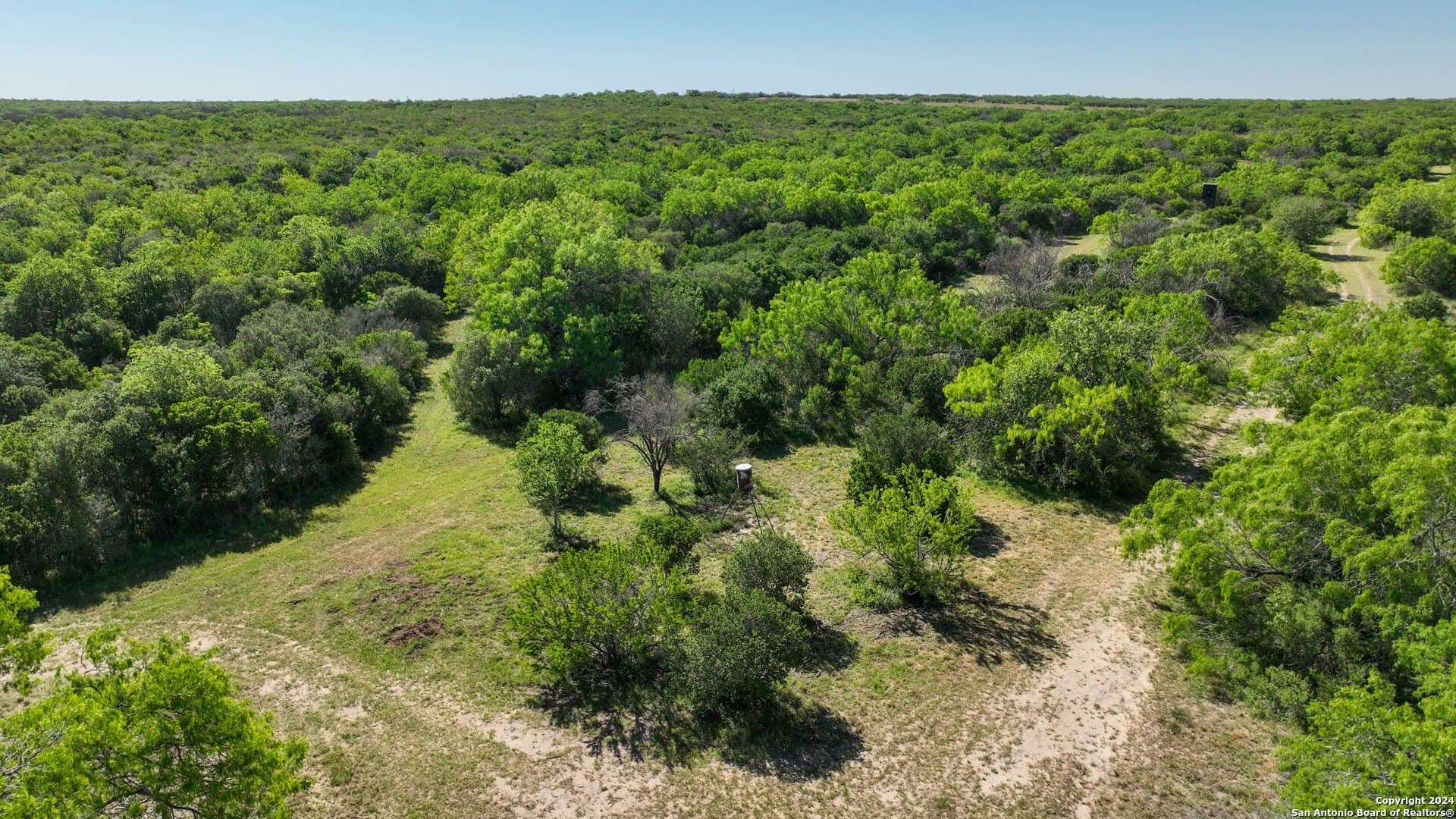 48.25 acres in Live Oak County