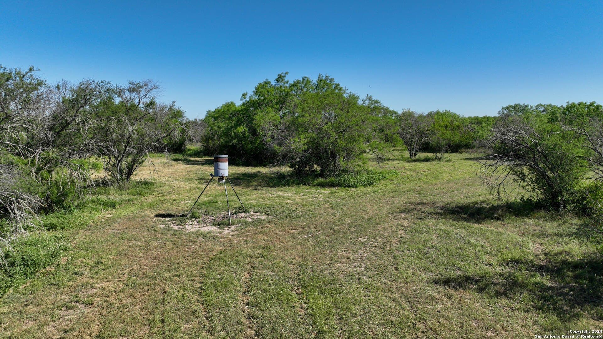 48.25 acres in Live Oak County - photo 6