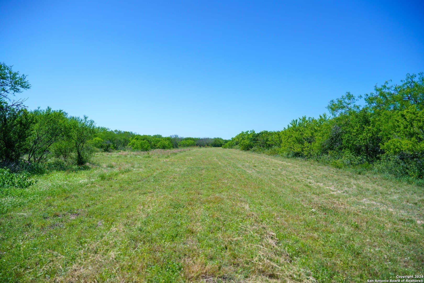 48.25 acres in Live Oak County - photo 27