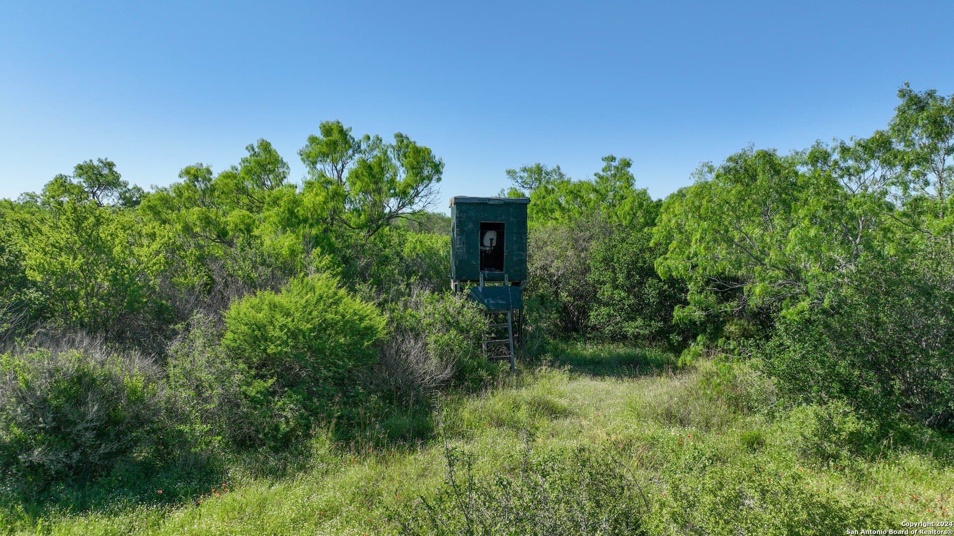 48.25 acres in Live Oak County featured view