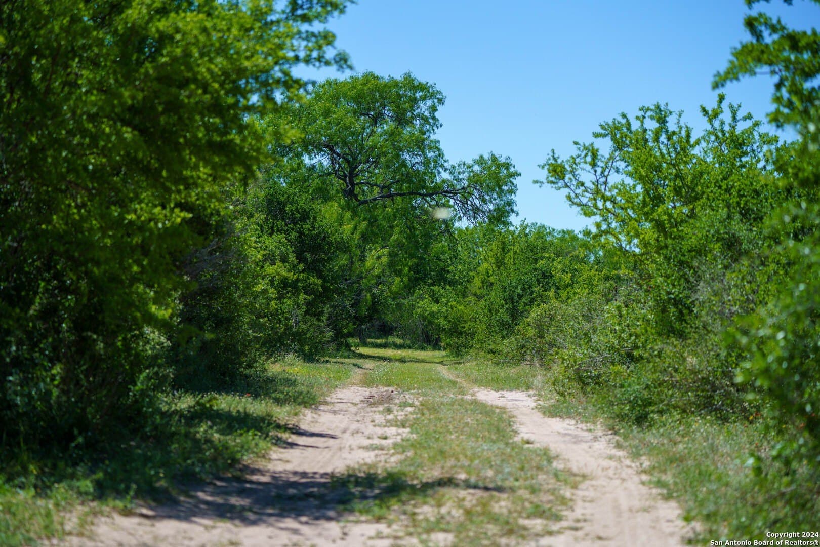 48.25 acres in Live Oak County - photo 33